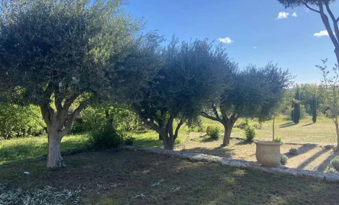 Taille d'arbre, Golfe de Saint-Tropez, VPServices